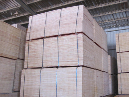 建筑模板倉庫一角